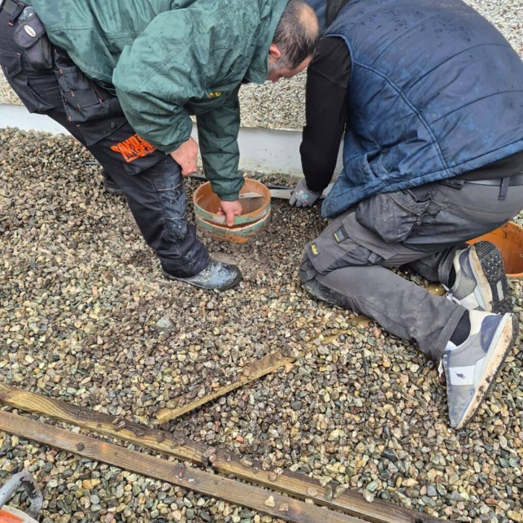 Sanctuary-Synthetics-Artificial-Grass-Galway-Garden-BEFORE